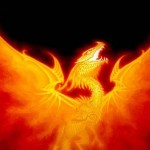 огненный дракон 2012